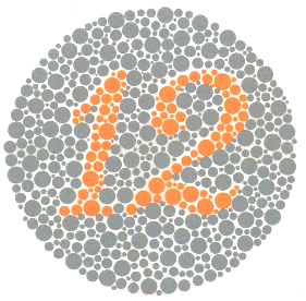 Ishihara Color Blindness Test